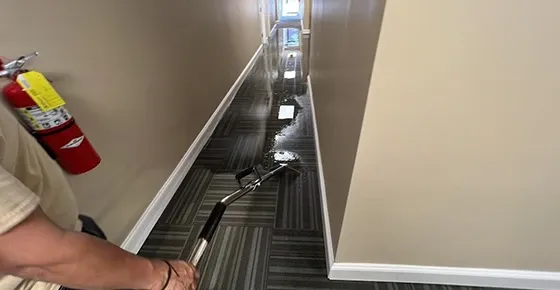 What Do Water Restoration Companies Do?